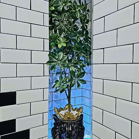 The Oasis - Heart Of Apartment Riga